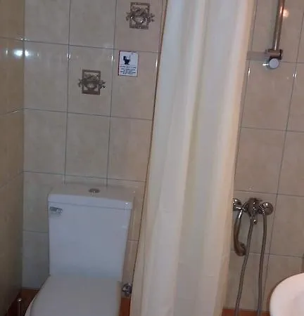 Artemisia Traditional Apartment Choudetsi